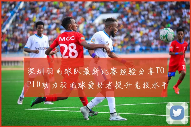 深圳羽毛球队最新比赛经验分享TOP10助力羽毛球爱好者提升竞技水平